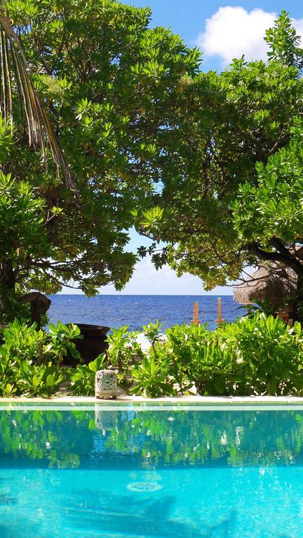 Green Lodge Moorea Temae 外观 照片